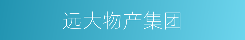 远大物产集团的同义词