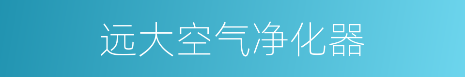 远大空气净化器的同义词