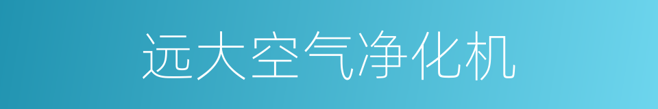 远大空气净化机的同义词