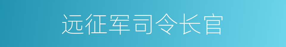 远征军司令长官的同义词