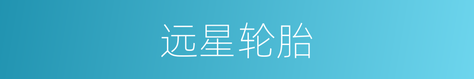 远星轮胎的同义词