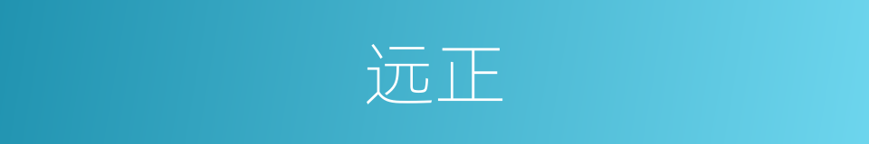 远正的意思