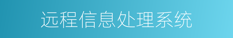 远程信息处理系统的同义词