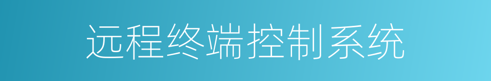 远程终端控制系统的同义词