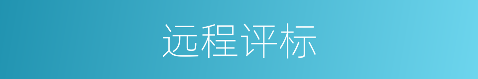 远程评标的同义词