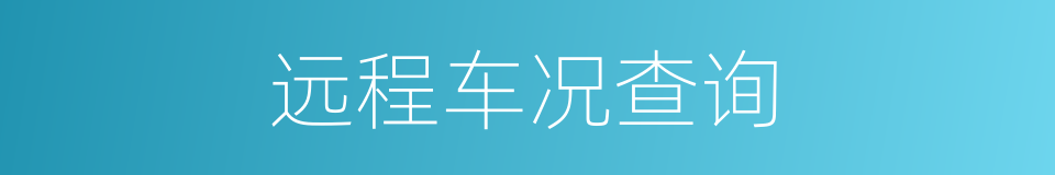 远程车况查询的同义词