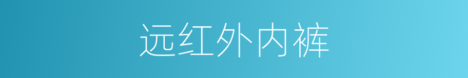 远红外内裤的同义词