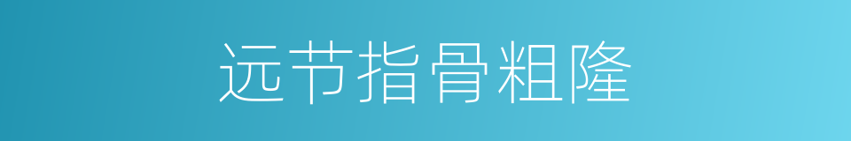 远节指骨粗隆的同义词