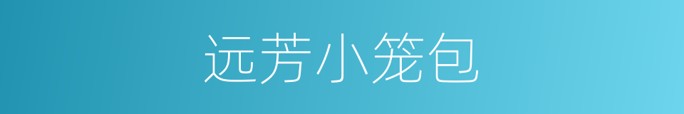远芳小笼包的同义词