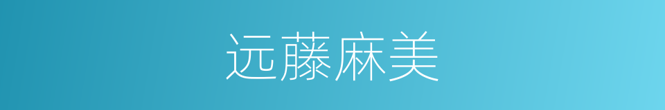 远藤麻美的同义词