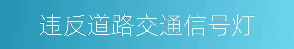 违反道路交通信号灯的同义词