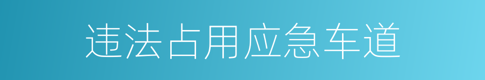 违法占用应急车道的同义词