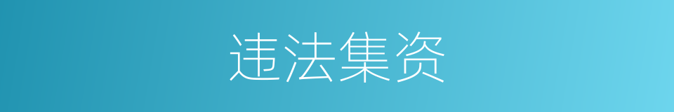 违法集资的同义词