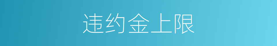 违约金上限的同义词