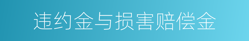 违约金与损害赔偿金的同义词