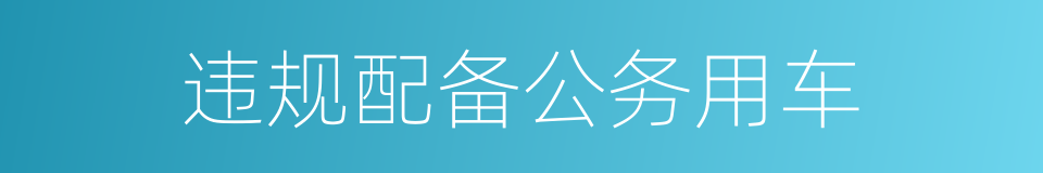 违规配备公务用车的同义词