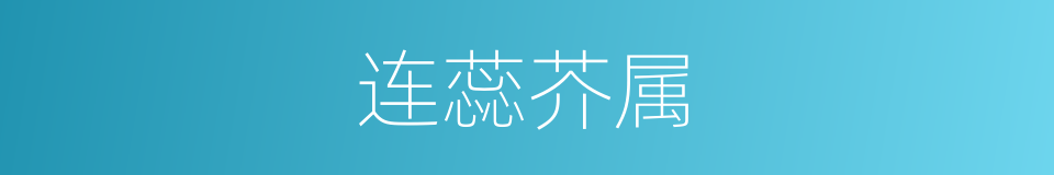 连蕊芥属的同义词