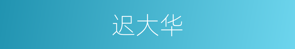 迟大华的同义词