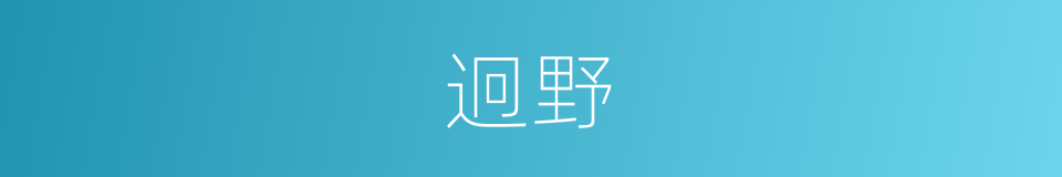迥野的意思
