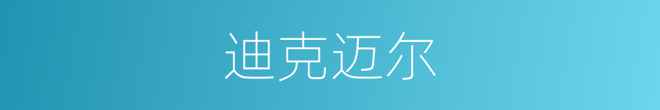 迪克迈尔的同义词