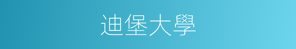 迪堡大學的同義詞
