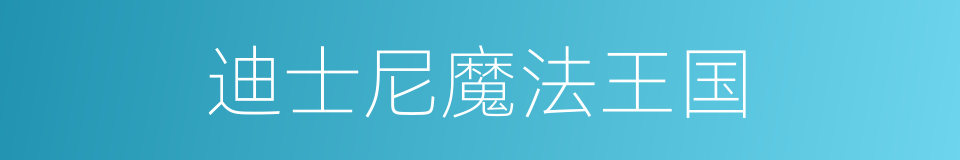 迪士尼魔法王国的同义词