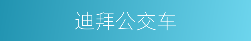 迪拜公交车的同义词