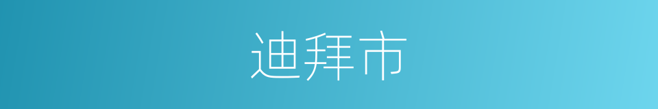 迪拜市的同义词