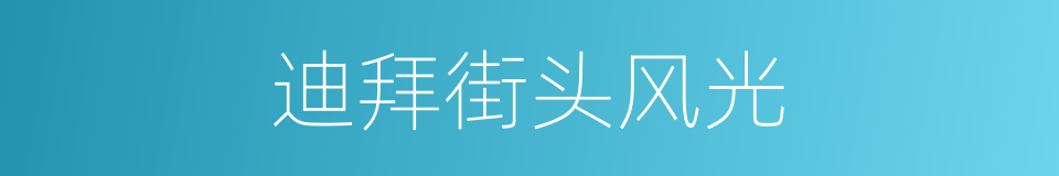 迪拜街头风光的同义词