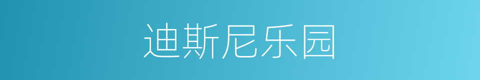 迪斯尼乐园的意思