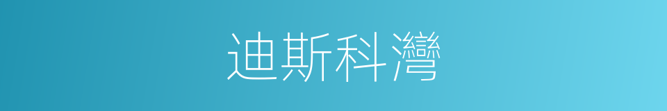 迪斯科灣的同義詞
