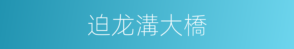 迫龙溝大橋的同義詞