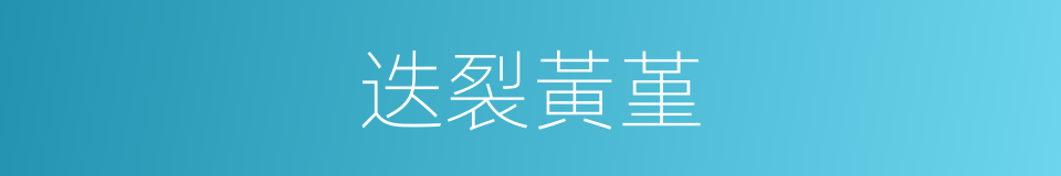 迭裂黃堇的同義詞