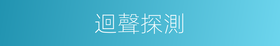 迴聲探測的同義詞