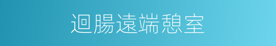 迴腸遠端憩室的同義詞