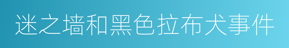 迷之墙和黑色拉布犬事件的同义词