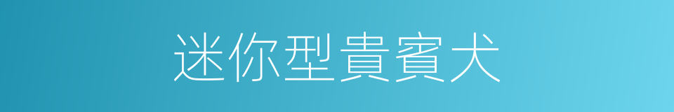 迷你型貴賓犬的同義詞