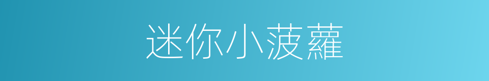 迷你小菠蘿的同義詞