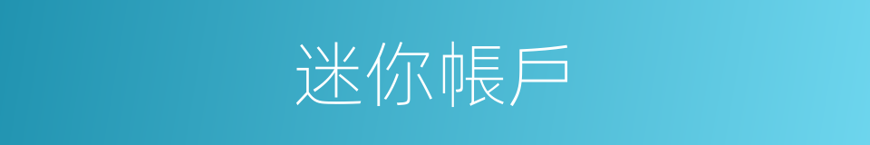 迷你帳戶的同義詞