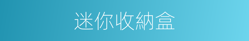 迷你收納盒的同義詞