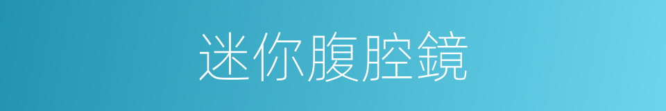 迷你腹腔鏡的同義詞