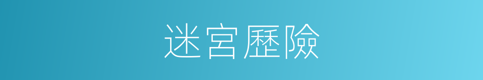 迷宮歷險的同義詞