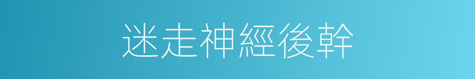 迷走神經後幹的同義詞