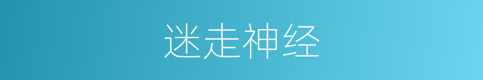 迷走神经的意思