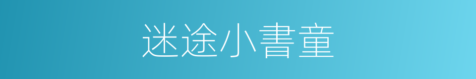迷途小書童的同義詞