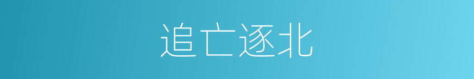 追亡逐北的意思