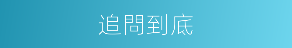 追問到底的意思