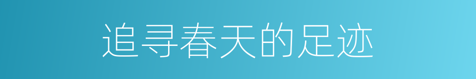 追寻春天的足迹的同义词