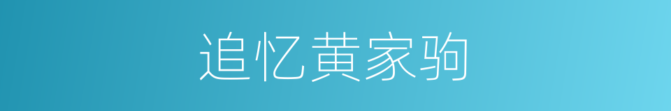 追忆黄家驹的同义词