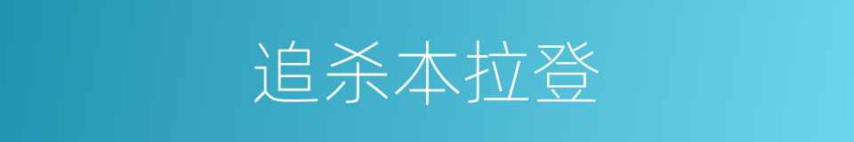 追杀本拉登的同义词